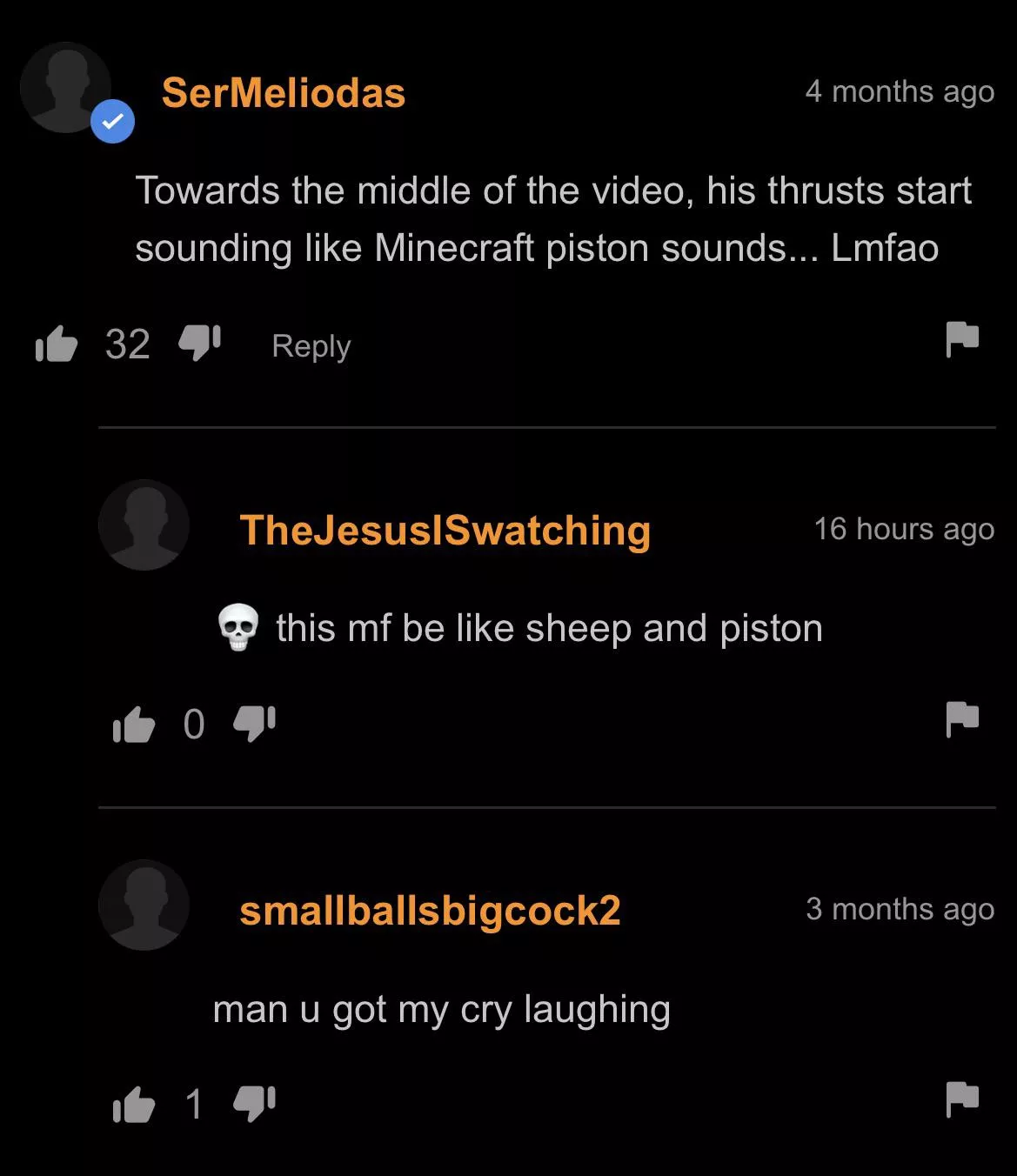 Average Minecraft Enjoyer