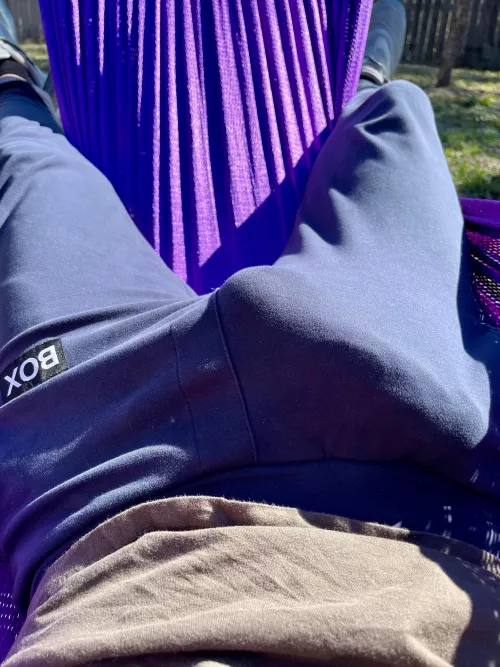 breezy afternoon in the hammock