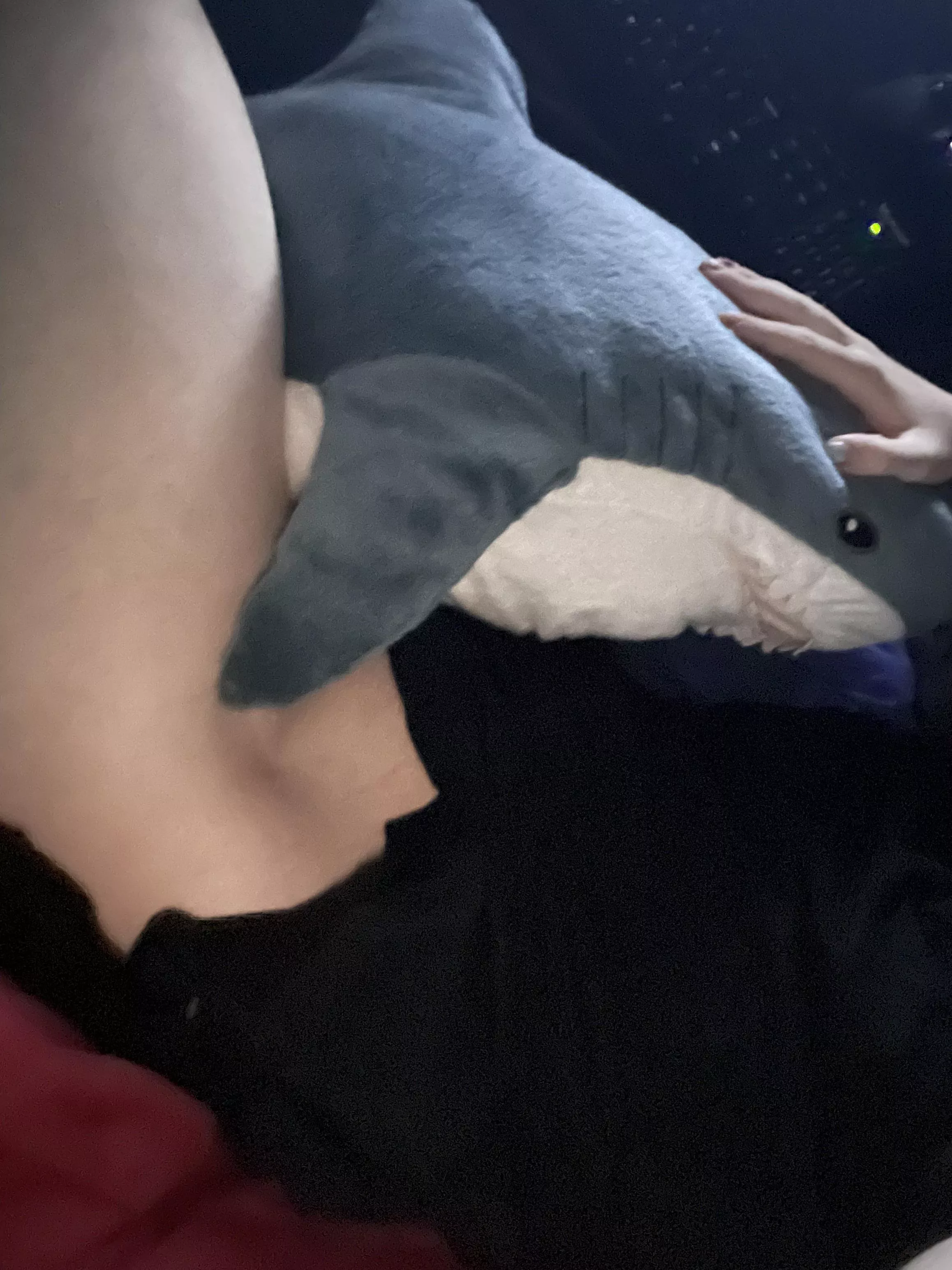 come kiss my thigh and if ur lucky you can replace the blåhaj