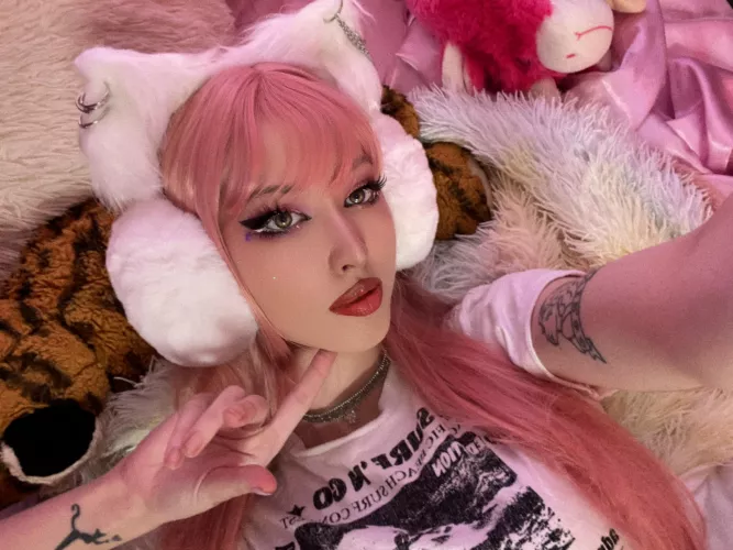 didn’t see u there 🐱