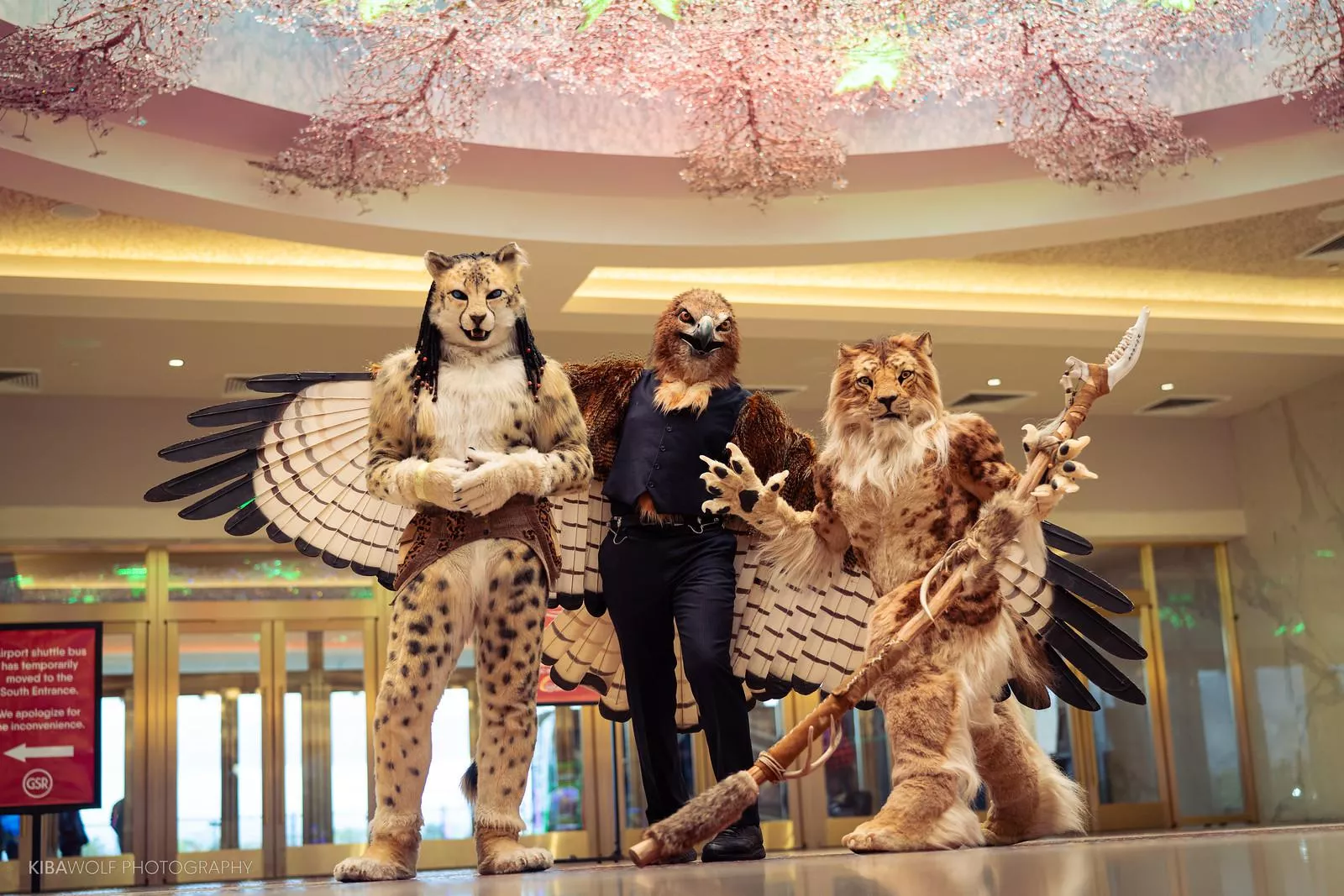 Gyrhawk gambles a bit with two kitties, Netolu and Spottacus!