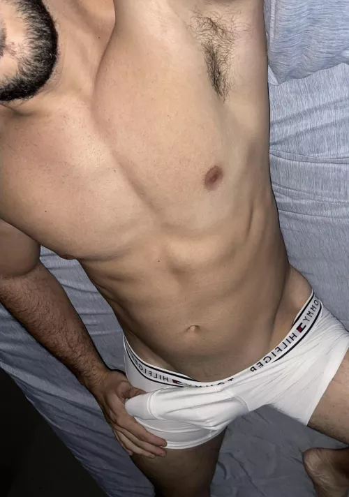 I let you sniff or lick you decide.