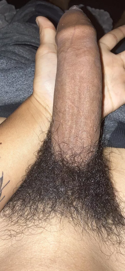 i want a thick ass sissy to bounce on my cock <3