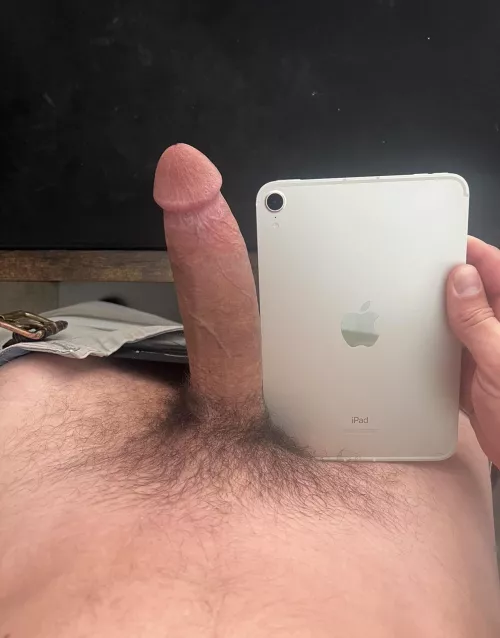 iPad Mini