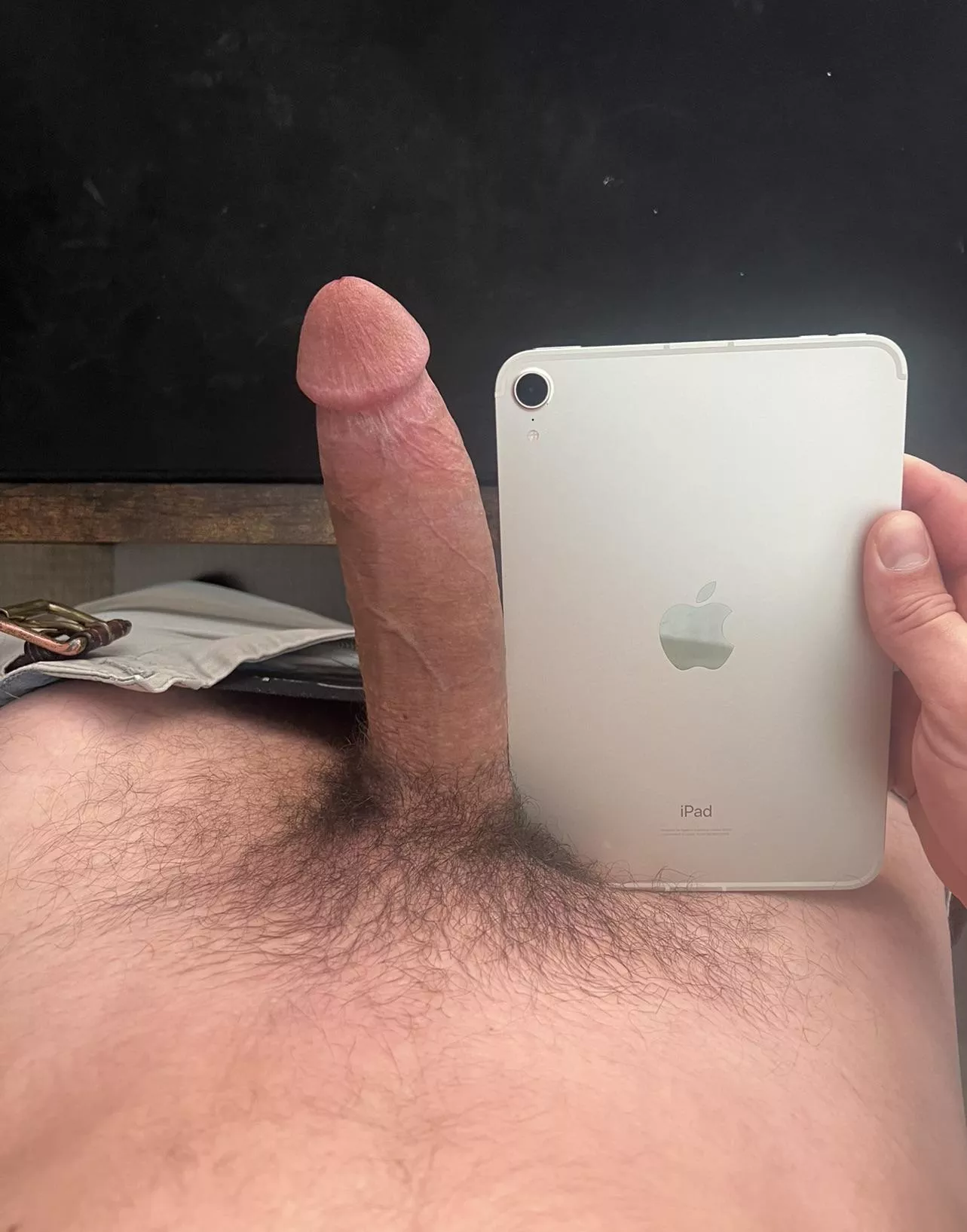 iPad Mini