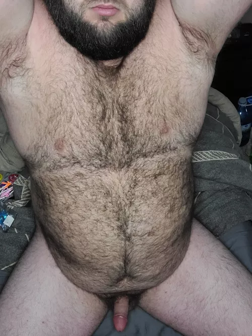 My 3 best qualities. Beard, Belly and Boner