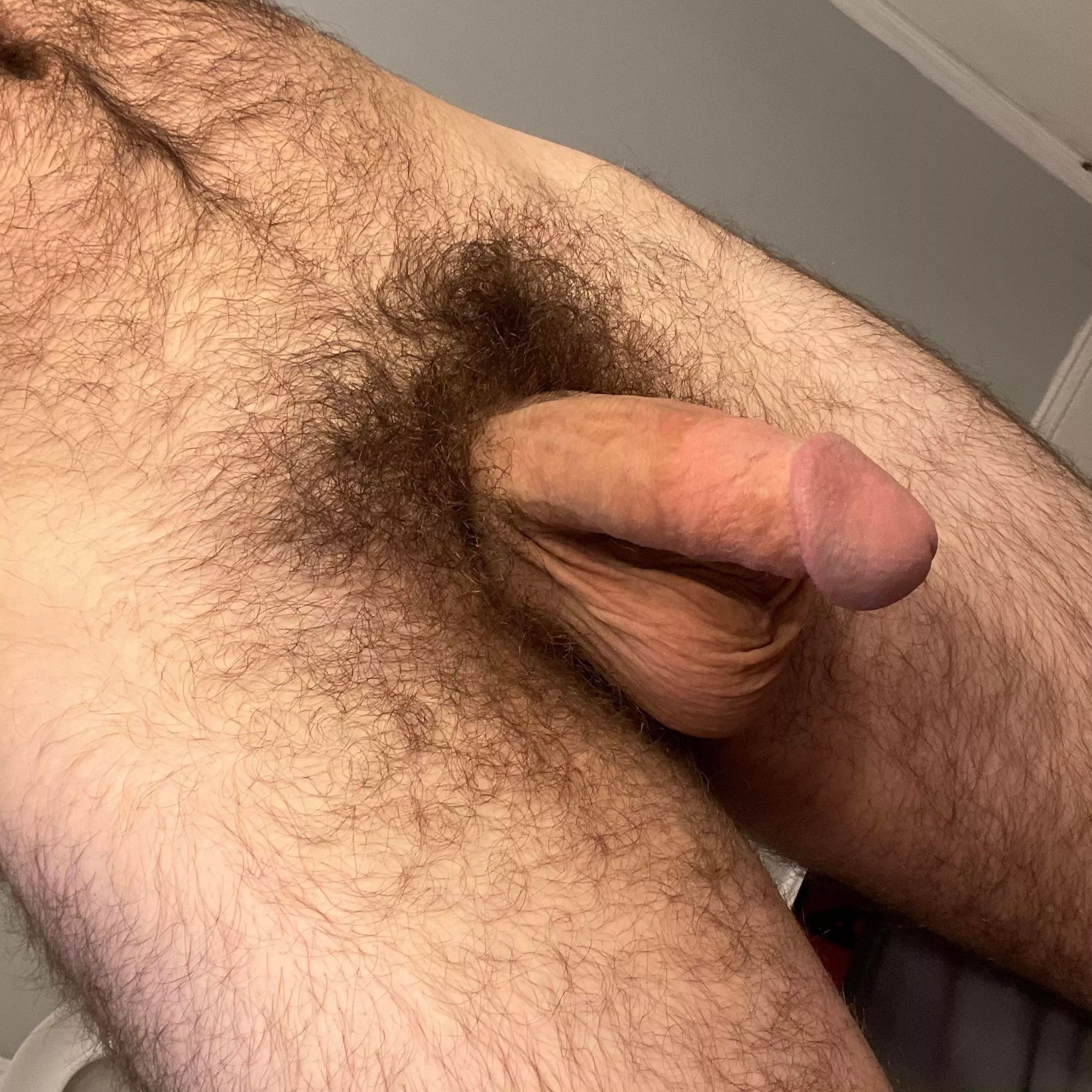 Need another otter to play with