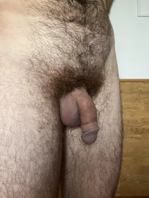 No big hard cock today