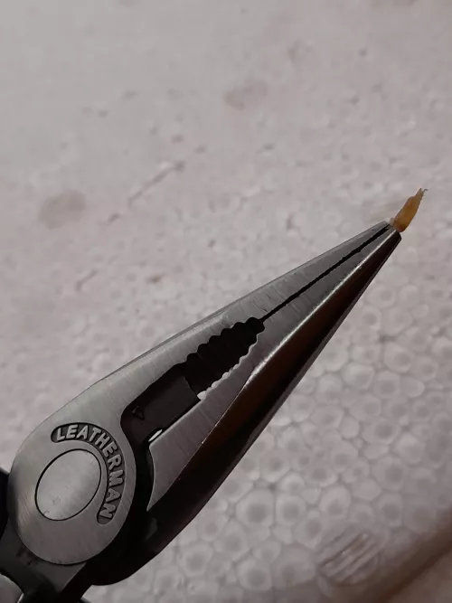 not necessarily a pop, but i just got this fucker out of my left big toe using shown pliers