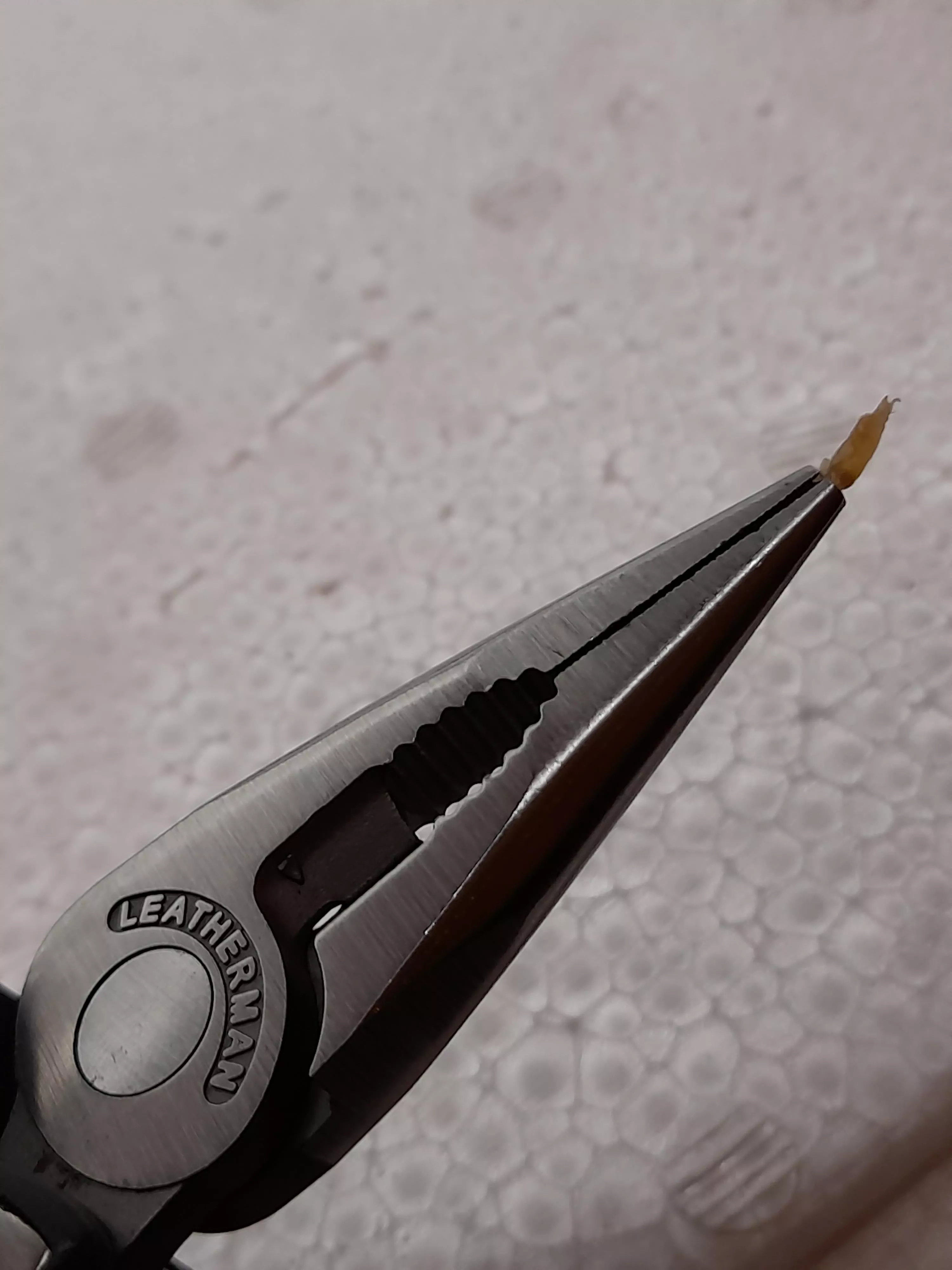 not necessarily a pop, but i just got this fucker out of my left big toe using shown pliers