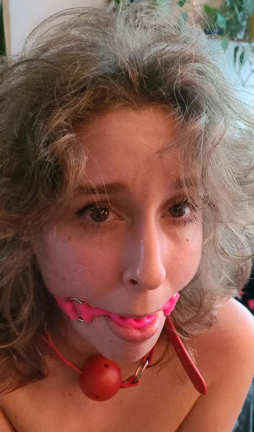 one gag wasn't enough... (yes, I'm back)