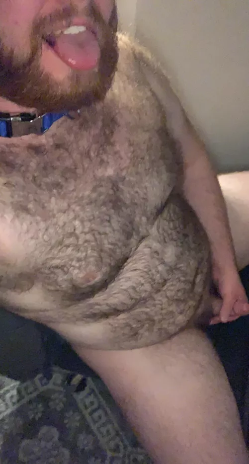 Plugged collared and ready to go