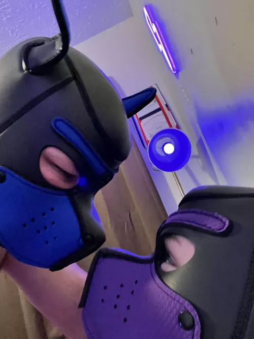 Pup boys (21 and 22) Pt 2 🐶