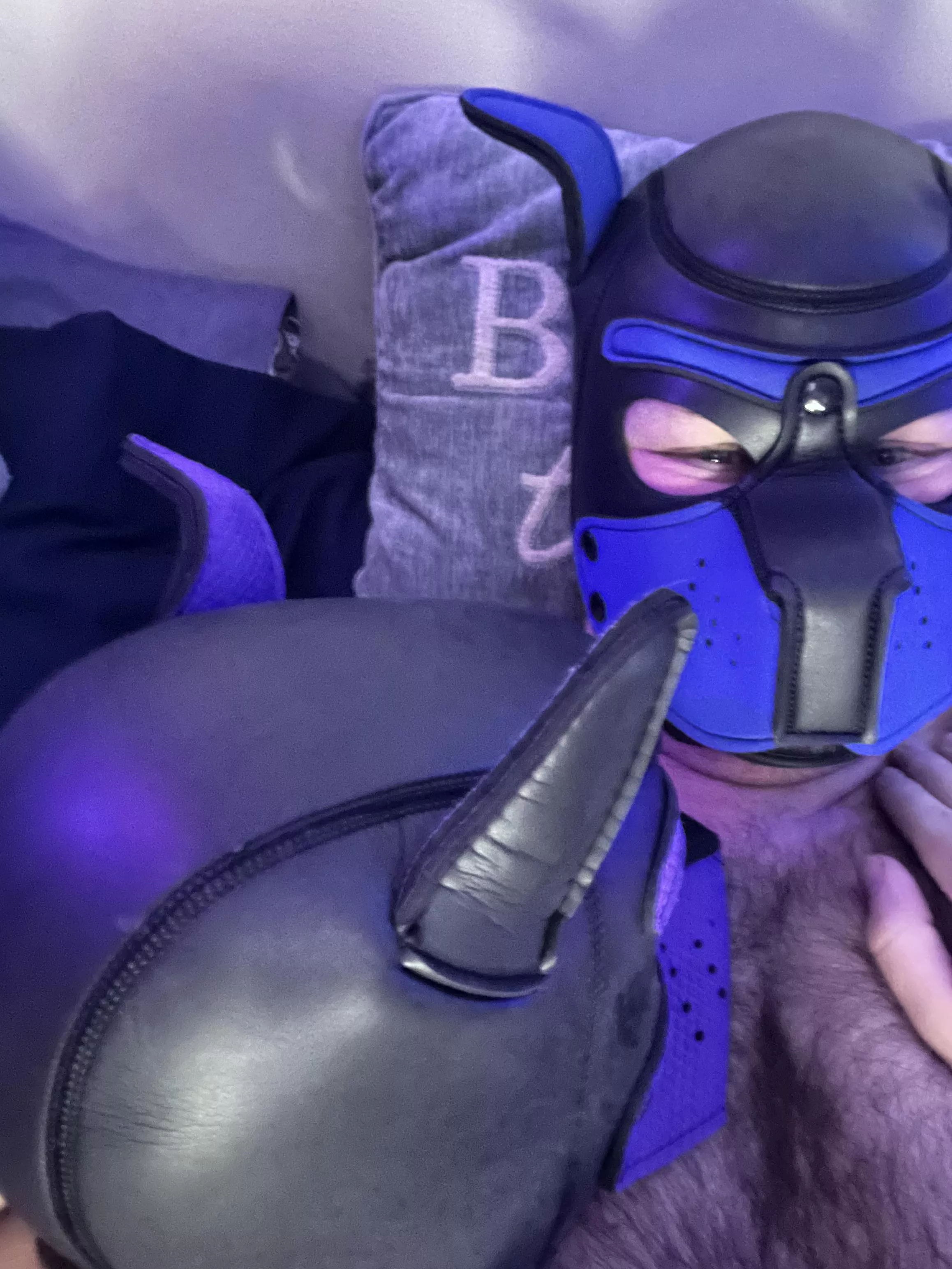 Pups (21 and 22) back at it again 🐶