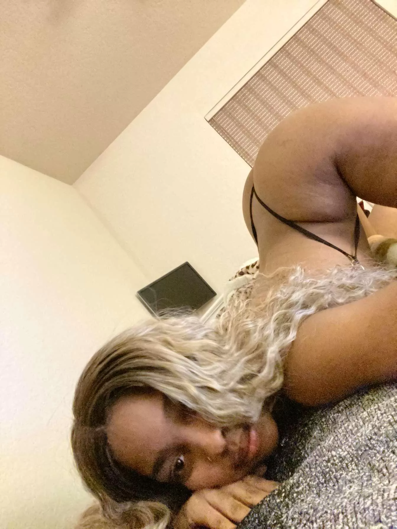 Slingshot wedgie ebony