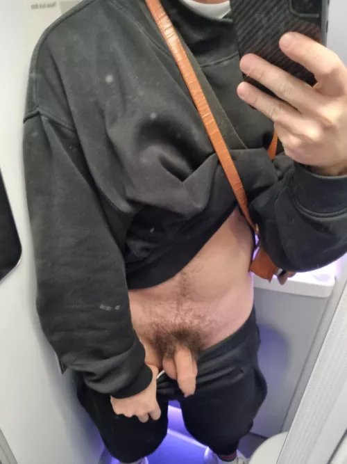 softy in the airplane