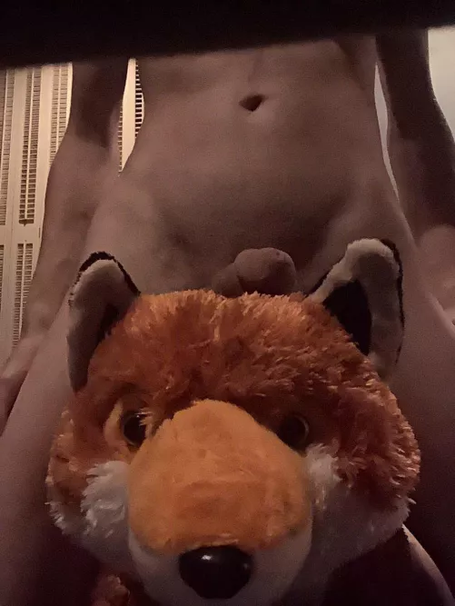 The best way break in my new fox!