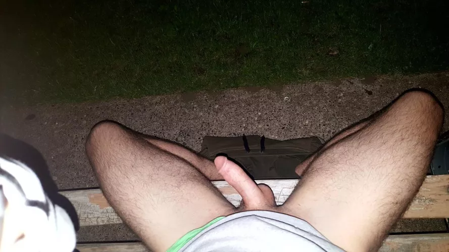 This bench in the park has the best view