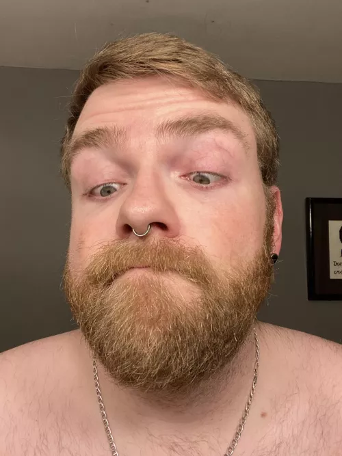 Treated myself to some piercings for Christmas - a week later I’m loving the septum!