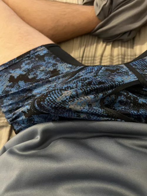 What do you guys think?