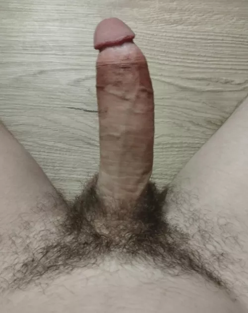 Who wants to suck my cock?