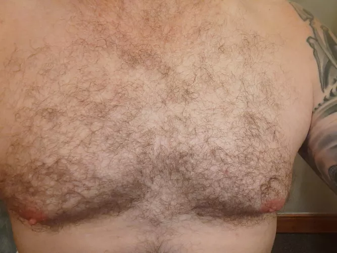 Would you play with my fluffy chest 😉