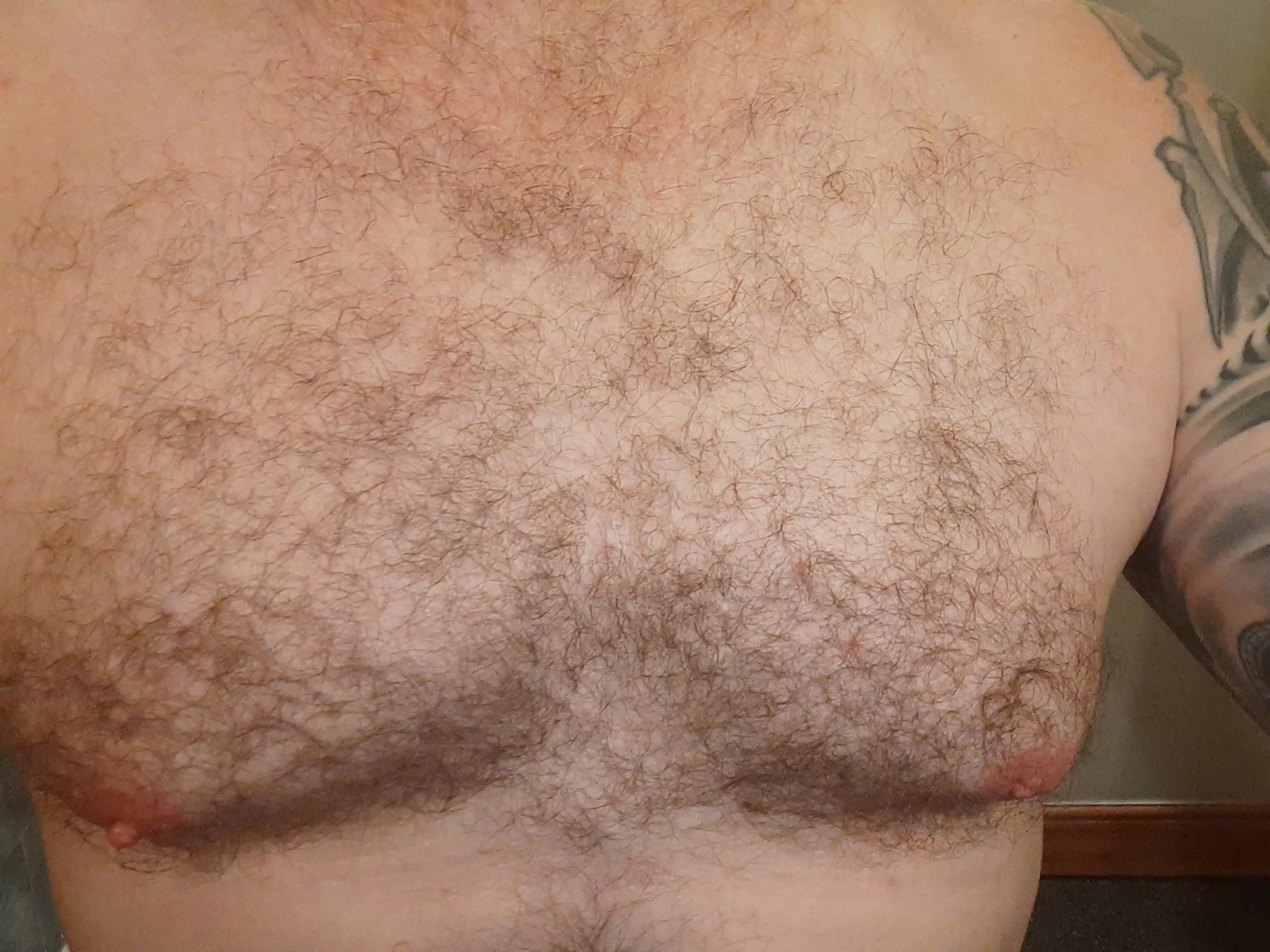 Would you play with my fluffy chest 😉