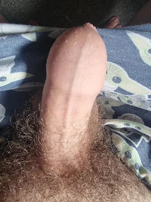 you like my young cock