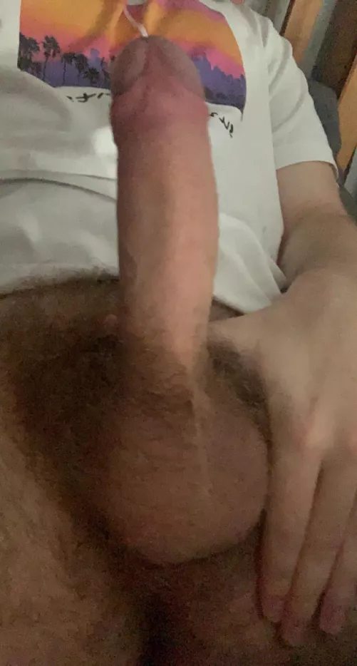 18 any dom bottoms want a sub top to use? @sa_f6777