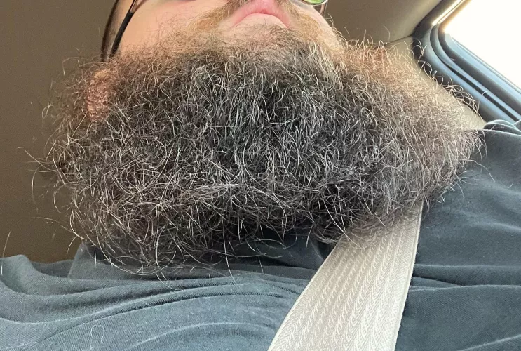 Any ladies in here like big hairy bearded guys like myself? Let’s chat and play. 😈
