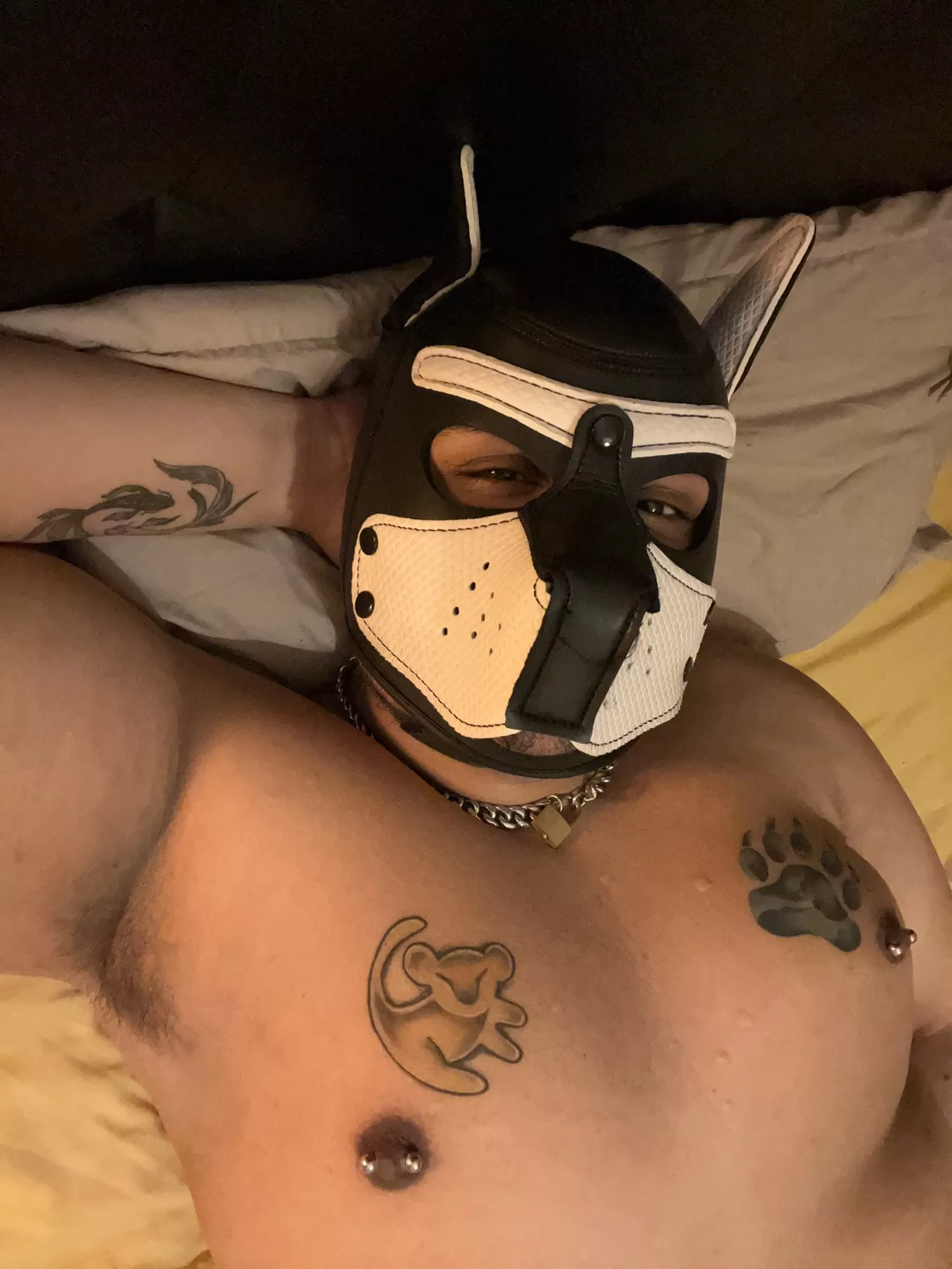 Anyone for pup snuggles?