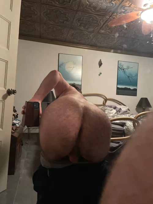 Anyone up for some Hairy ass?