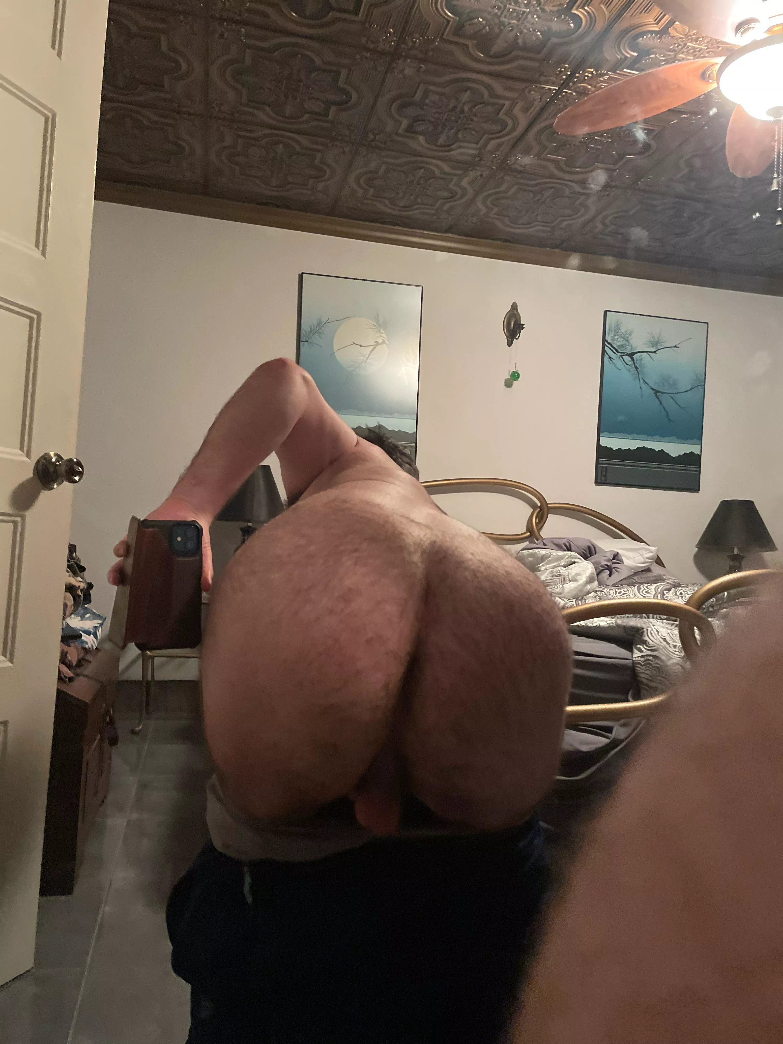 Anyone up for some Hairy ass?