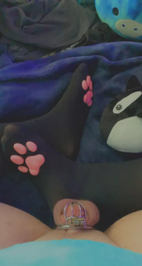 Anyone want a horny caged puppy gf 🥺