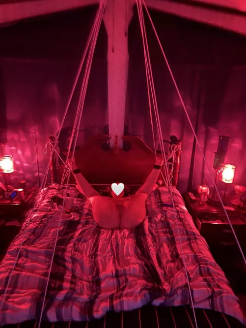 Bound and ready to be used… [F][OC]