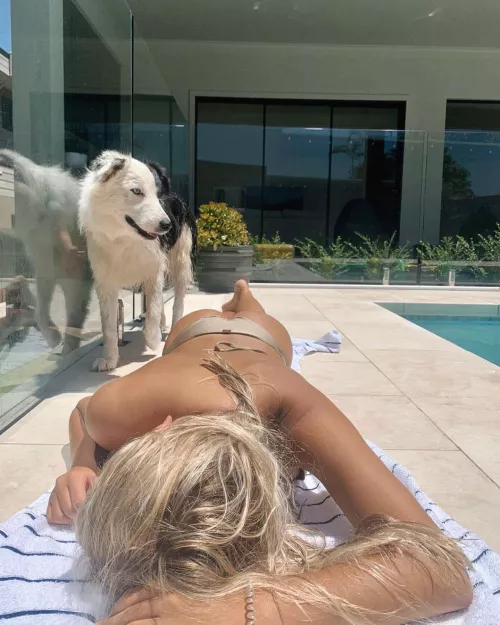 First time I can say I am jealous of a dog