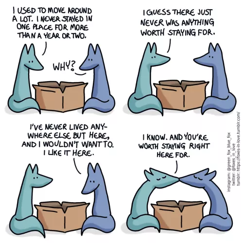 foxesinlove on Twitter