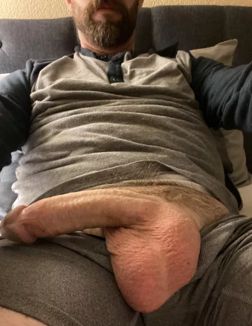 Freshly shorn and way too full