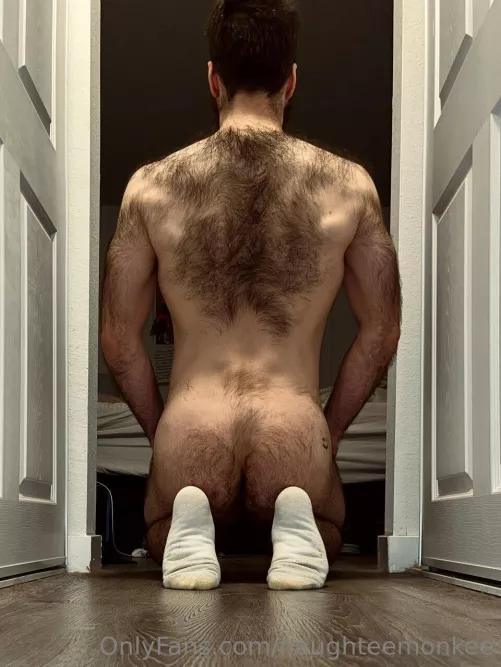 Hairy New Year! I brought cake 😉