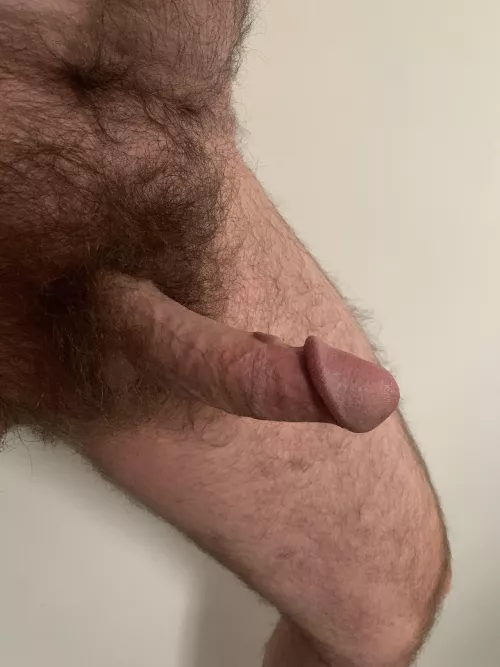 Haven’t shaved in years.