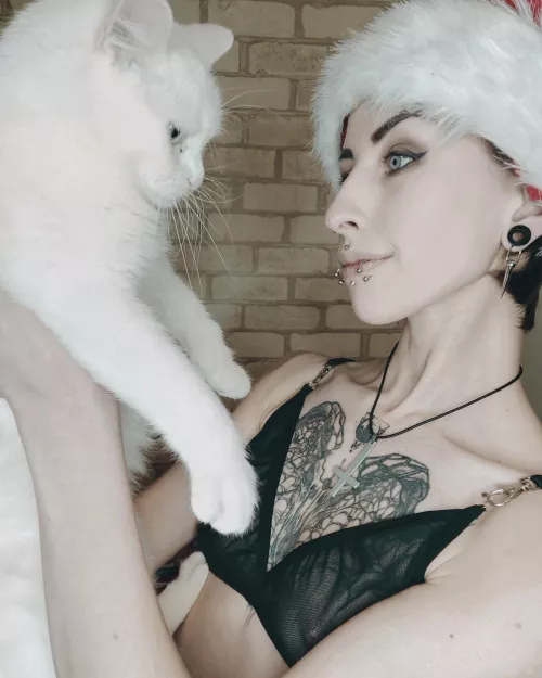 I love to play with my kitty