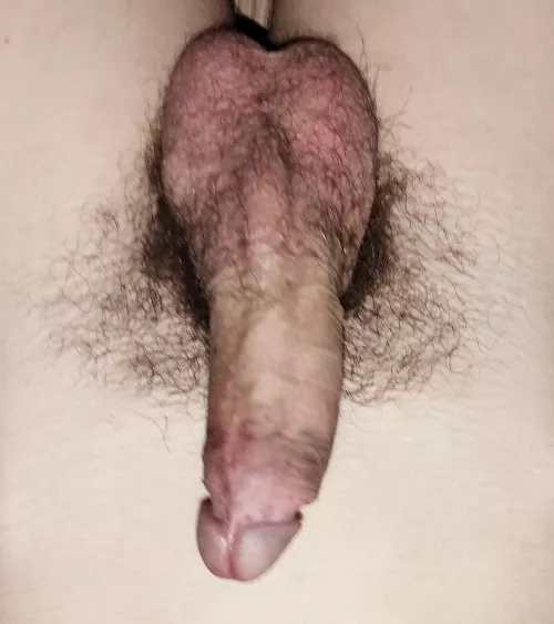 I'm horny. What do you think?