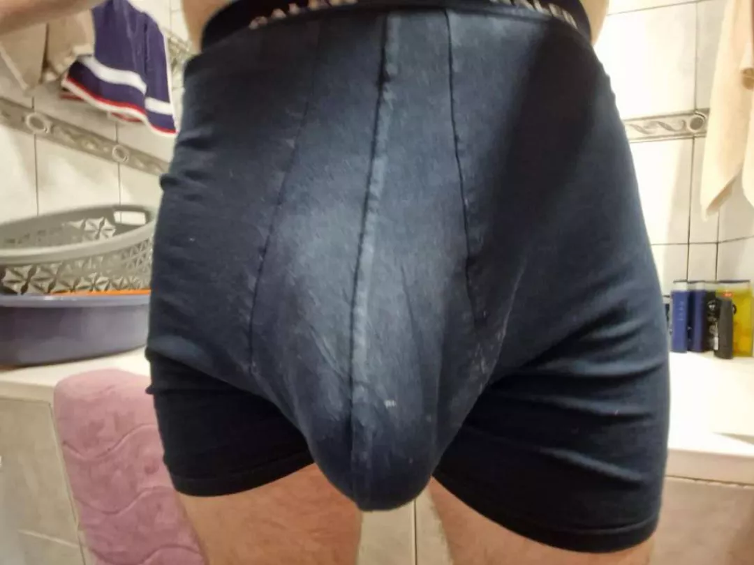 Massive bull ready for compare