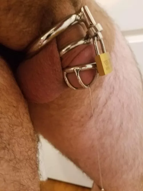 My first post - pls be nice