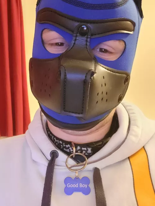 My first tag finally arrived 🐶