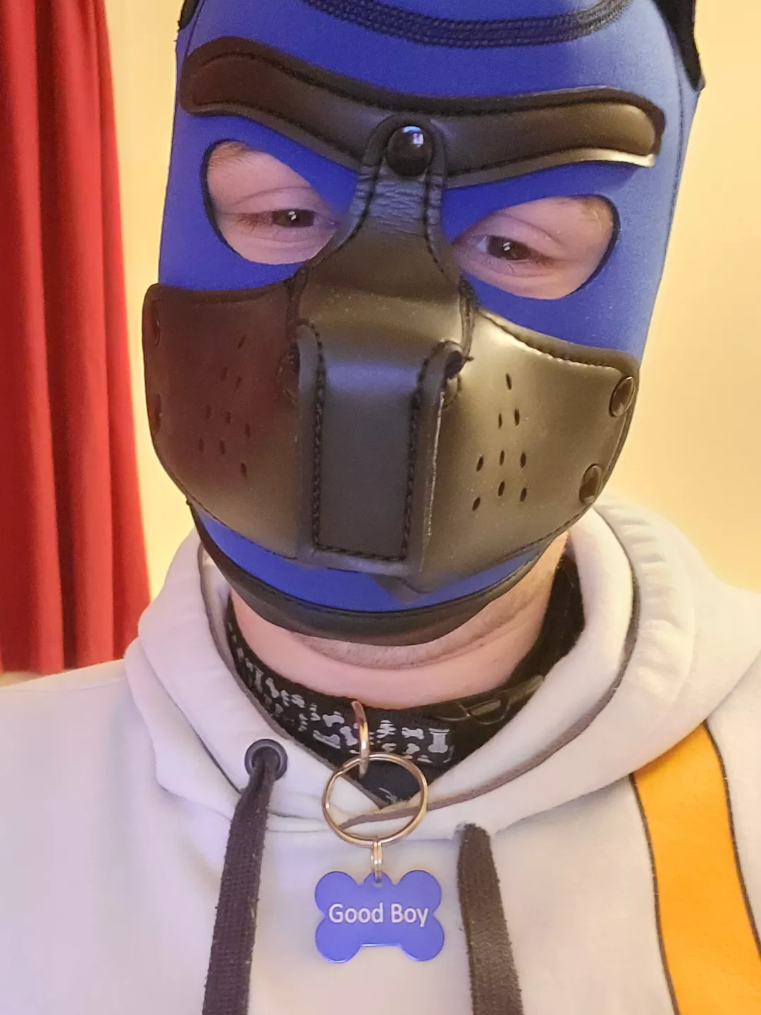 My first tag finally arrived 🐶