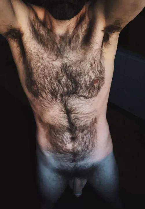 My hairy pits blend into my hairy tits which blend into my hairy stomach which blends into my full bush which blends into my hairy legs which blend into my hairy feet. Point is: **WOOF**