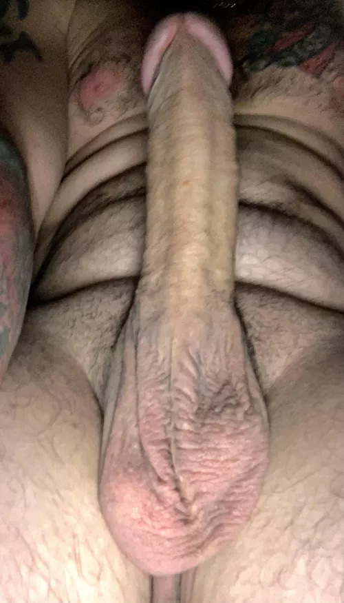 Need help getting wild