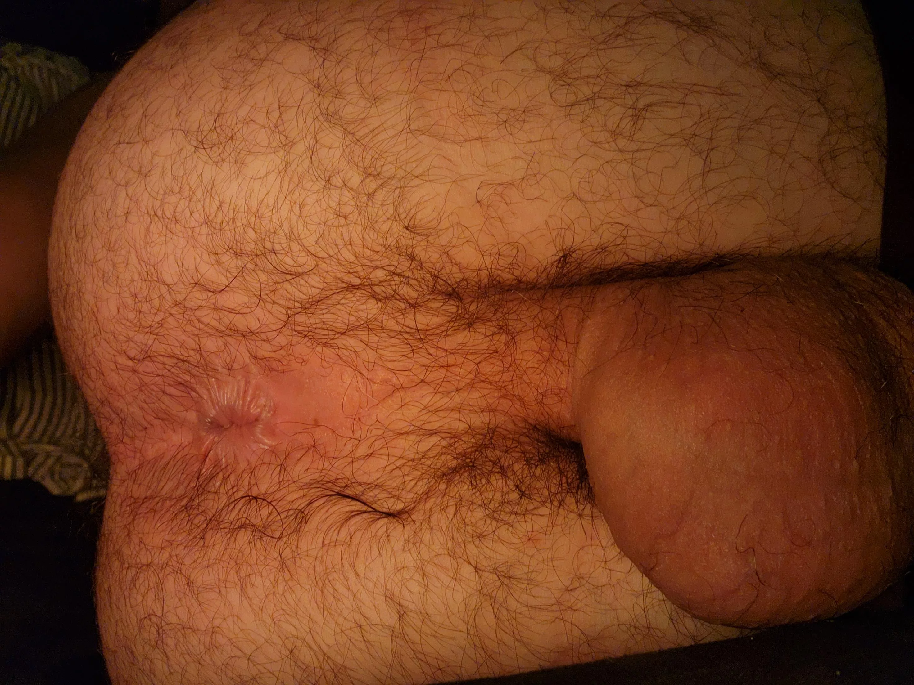 New here, hope you enjoy my ass