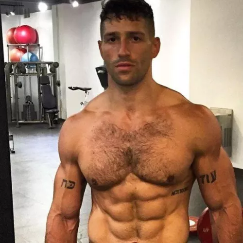 “Noah Neiman” …